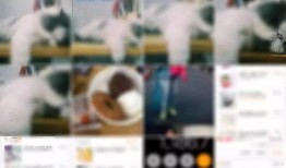 广州雨神爆料视频大全最新,揭秘城市雨景背后的故事