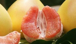 金秋柚最新爆料,揭秘娱乐圈最新热点事件